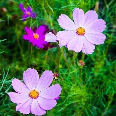 4688美高梅登录中心